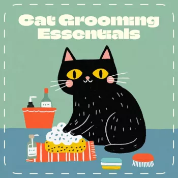 Cat Grooming Essentials: Low-Stress Coat Care Routine